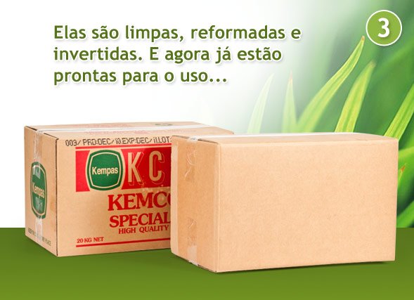 As caixas de papelão são limpas, reformadas e invertidas...